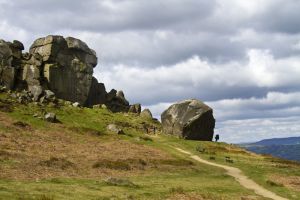 cow and calf rocks april 2012 sm.jpg